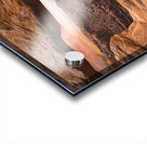 The Land Before Time Acrylic print