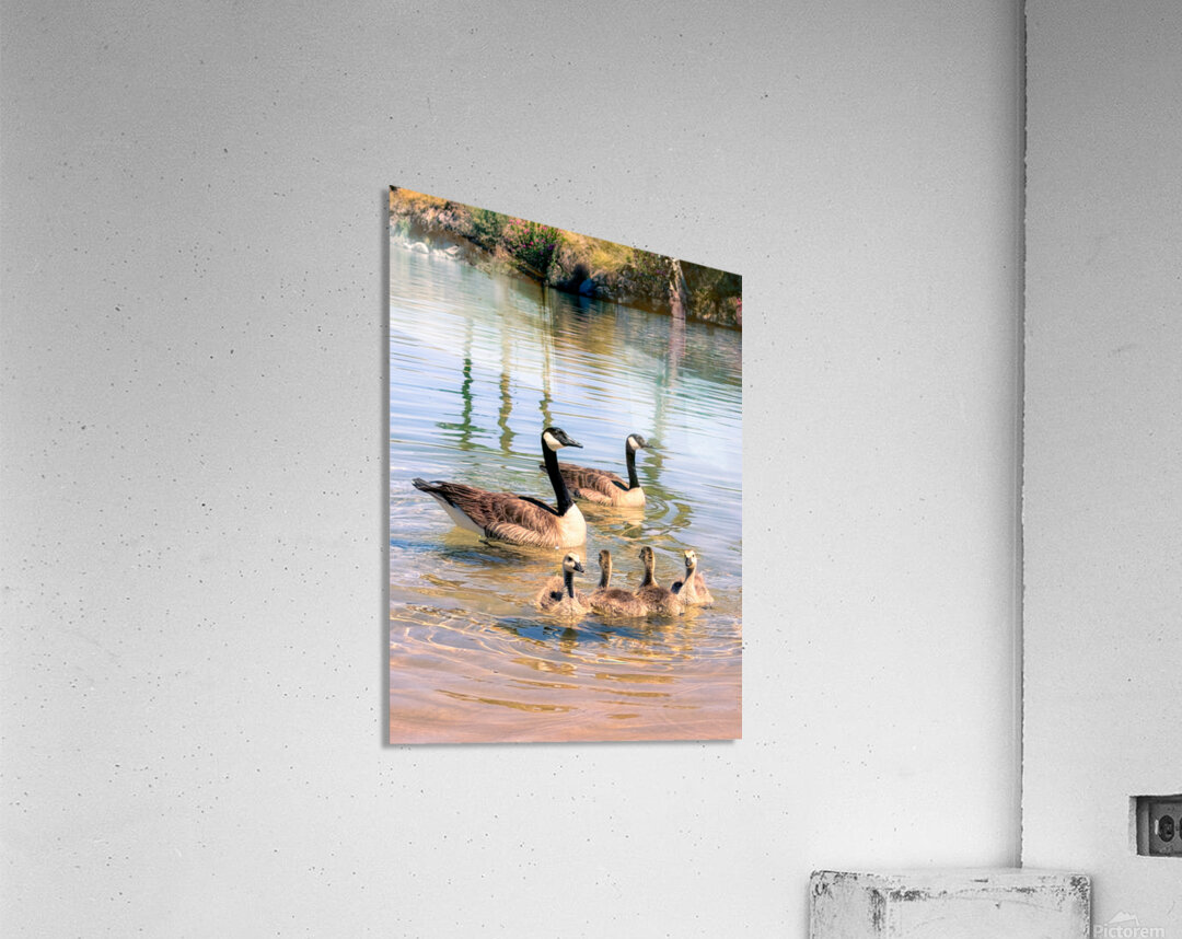 Little ripples big love  Acrylic Print