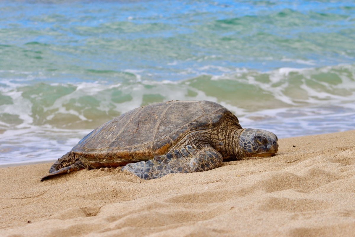 Impression de cadre personnalisé