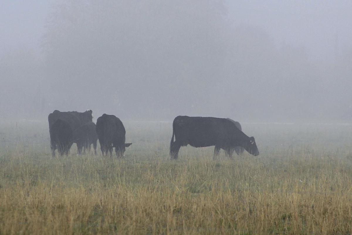 Impression de cadre personnalisé