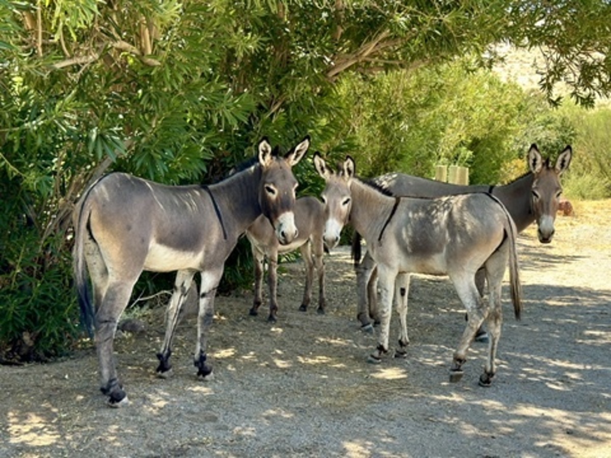 Impression de cadre personnalisé