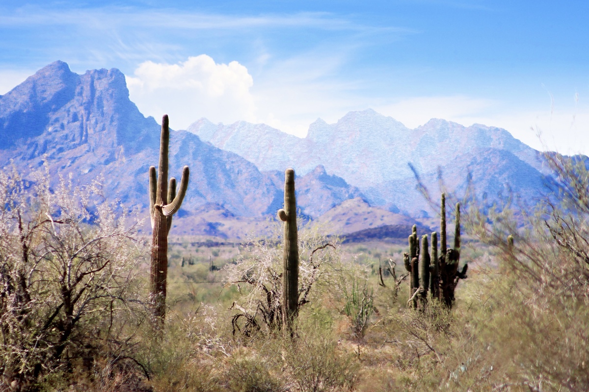 Impression de cadre personnalisé