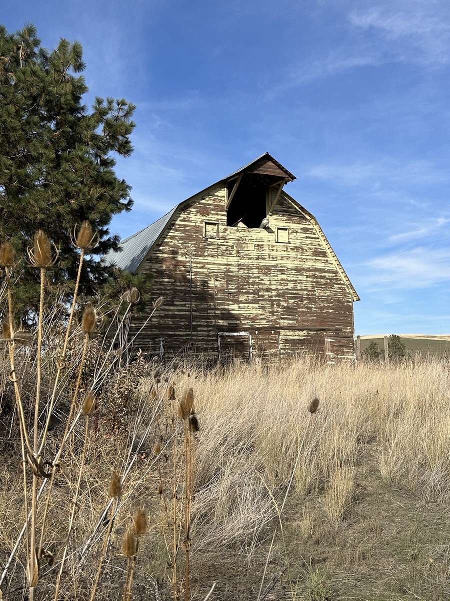 Impression de cadre personnalisé