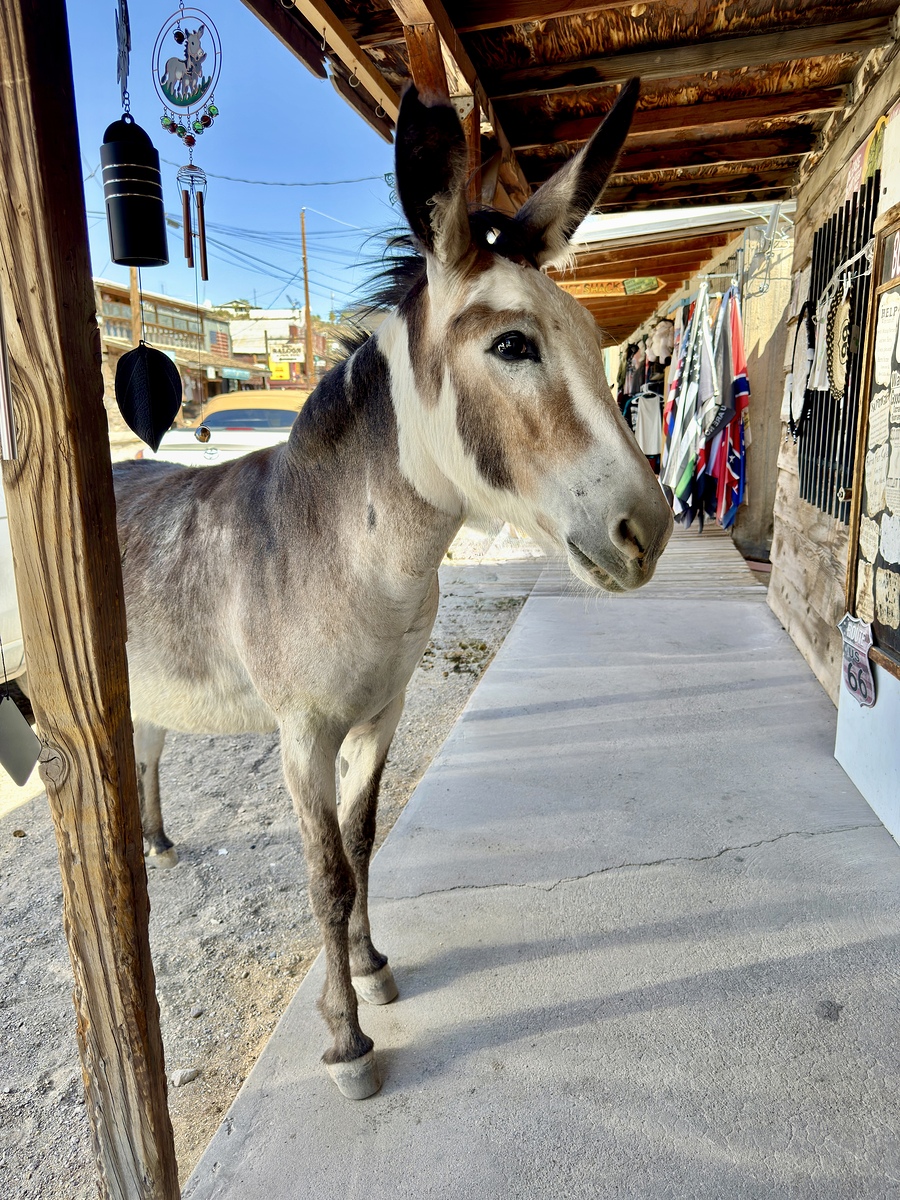 Impression de cadre personnalisé