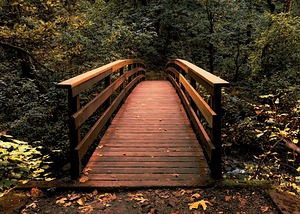 The path less traveled