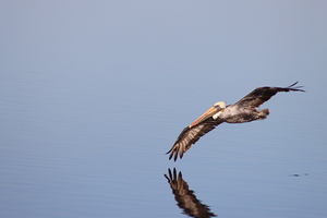 Touching the liquid sky