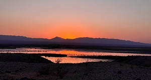 Sunset on the Marsh -2