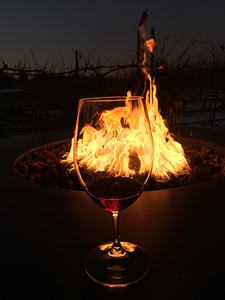 Vino En Fuego