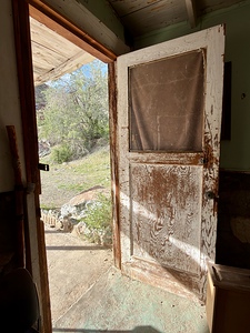 Stepping through time