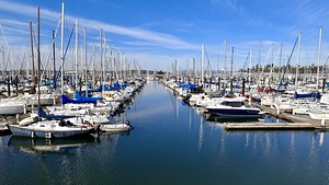 Everett Marina