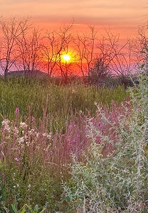Sunset on Silica Road