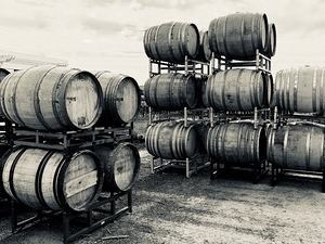 Barrels on the Crushpad