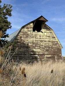 Colfax Barn 1