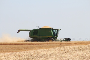 Wheat Harvest
