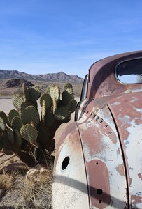 Old Cars and Cactus