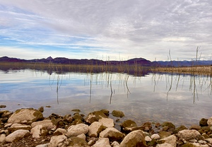 Alamo Lake Arizona -1