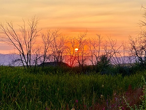 Sunset on Silica Road -2