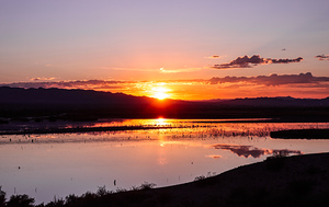 Havasu National Wildlife Refuge 7-18-25