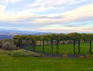 The piazza at Cave B Winery