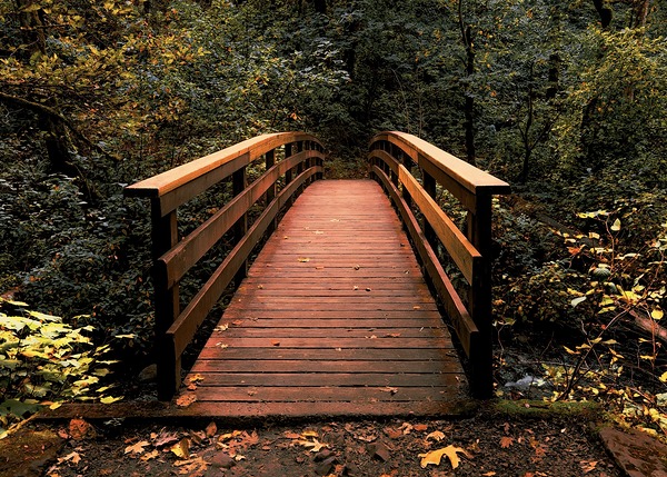 The path less traveled Print