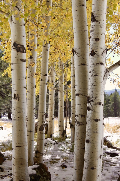 IMG 4712 by Leslie Affeldt Photography