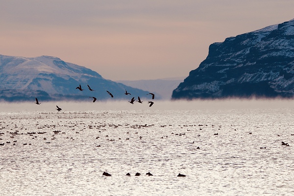 Beauty in the bitter cold - Columbia River 1 by Leslie Affeldt Photography