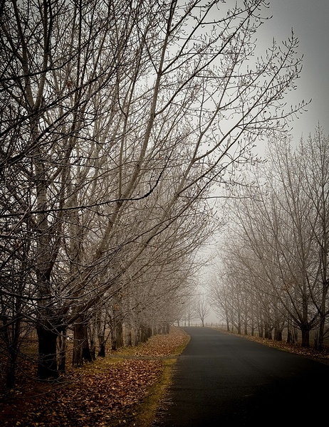 Winter’s Breath by Leslie Affeldt Photography