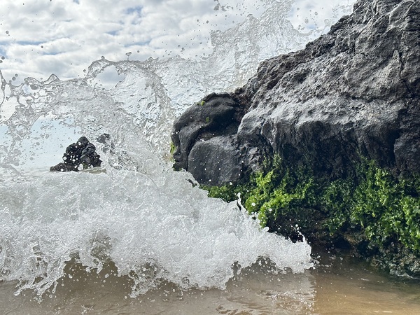 IMG 0828 by Leslie Affeldt Photography