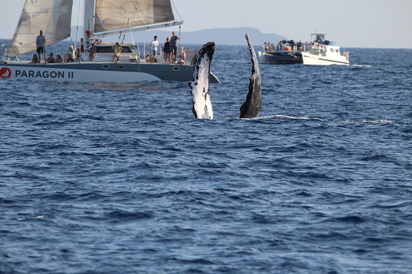 IMG 3367 by Leslie Affeldt Photography