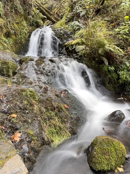 Oregon Waterfall Print