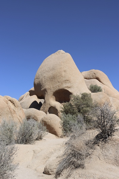Skull Rock Joshua Tree National Park Print