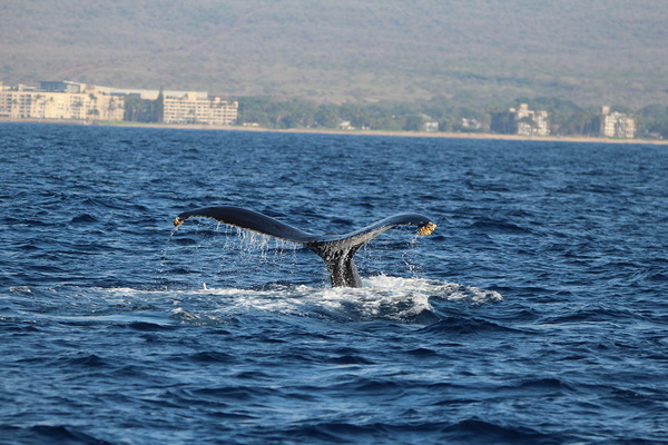 IMG 3392 by Leslie Affeldt Photography