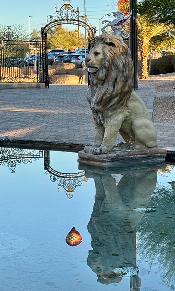 Reflection at the gate -1 by Leslie Affeldt Photography