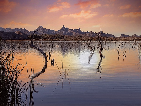 Catfish Paradise  by Leslie Affeldt Photography