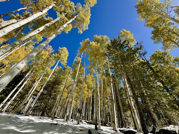 IMG 9874 by Leslie Affeldt Photography