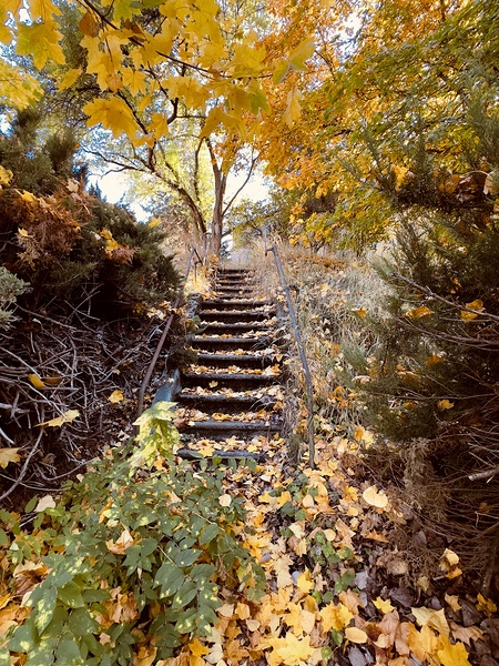 Autumn Staircase Print
