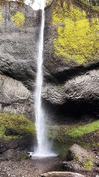 Latourell Falls  by Leslie Affeldt Photography