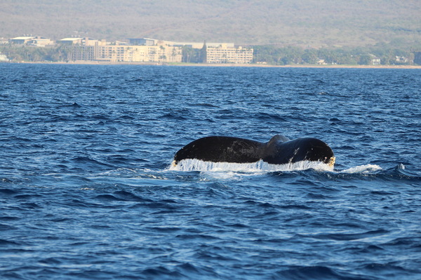 IMG 3391 by Leslie Affeldt Photography