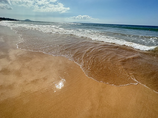 IMG 1038 by Leslie Affeldt Photography