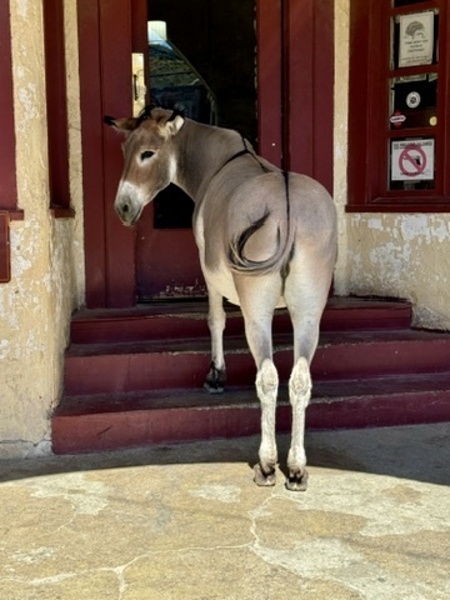 My eyes are up here  by Leslie Affeldt Photography