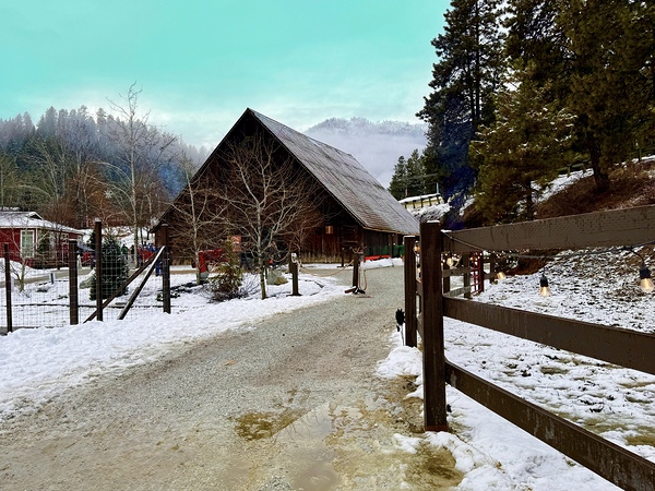 Winter time at Leavenworth Reindeer Farm Print