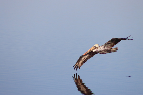 Touching the liquid sky by Leslie Affeldt Photography