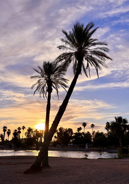 Sunset at Lake Havasu  by Leslie Affeldt Photography