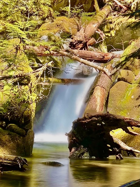 IMG 2510 by Leslie Affeldt Photography