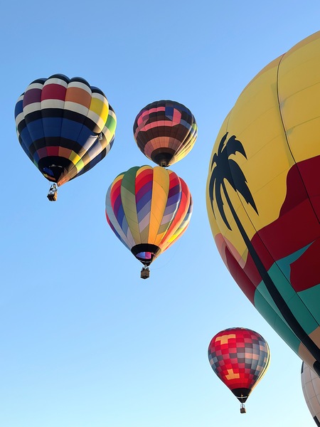 Bullhead City 3 by Leslie Affeldt Photography