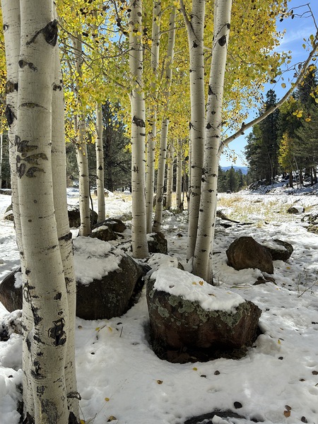 IMG 9854 by Leslie Affeldt Photography