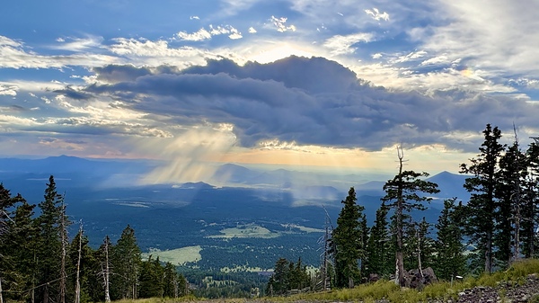 Monsoon Season -1 Print