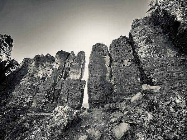 The Feathers by Leslie Affeldt Photography