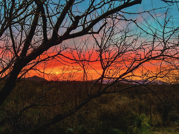 Colors of the Desert Print