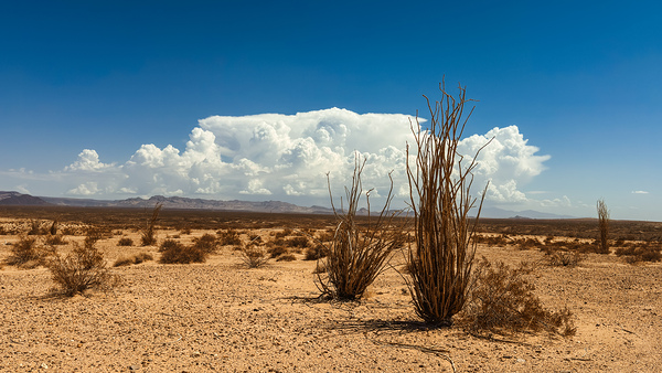 Monsoon Coming Print